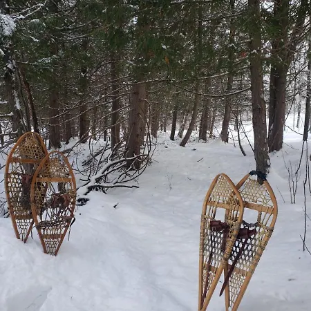Le Nid doré sur le lac  Val des Monts Extérieur photo