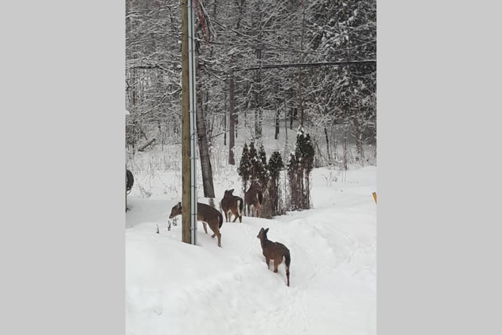 Le Nid Doré Sur Le Val des Monts